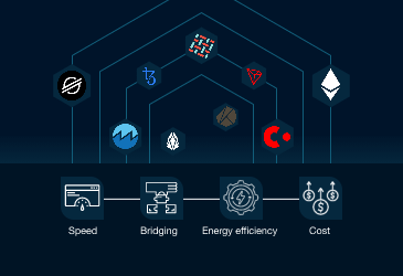 How to Choose a Blockchain Protocol Suitable to Your Project?